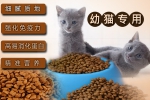 深圳市龍崗泰亞海飼料同本公司簽署網(wǎng)站制作合同